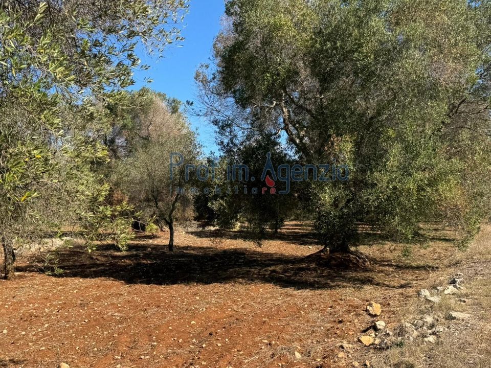 Helårsgrund i Carovigno, Brindisi - foto 5